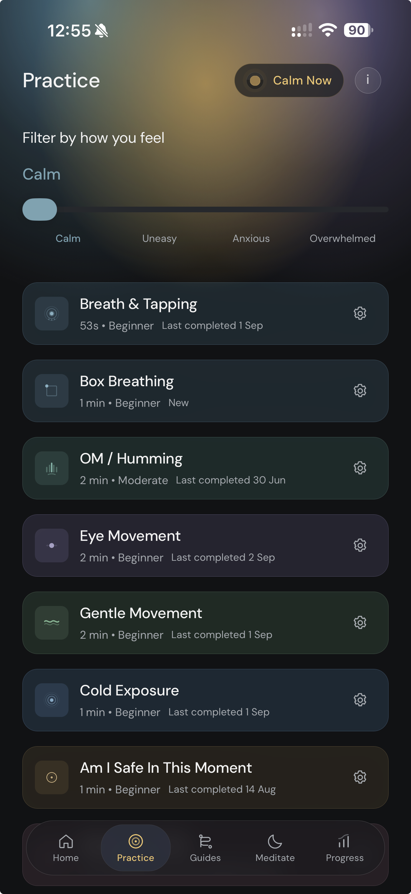 Anzenity practice screen