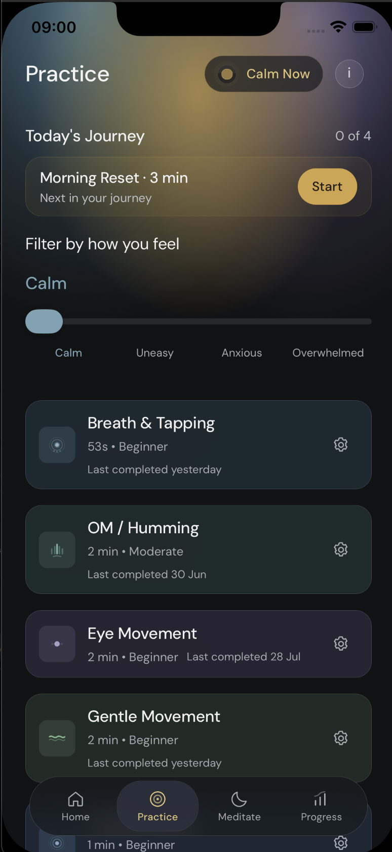 Anzenity practice screen